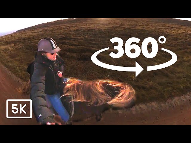 Horse Riding in the Dunes of Denmark | 360 VR Experience