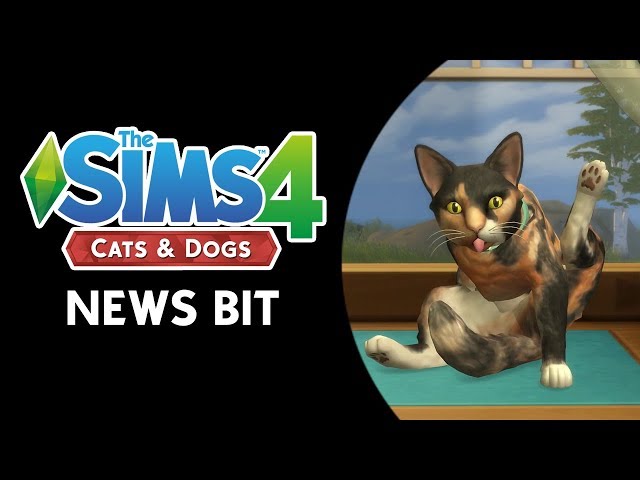 The Sims 4 News Bit: MEOW MEOW WOOF! NEW PETS INFO!