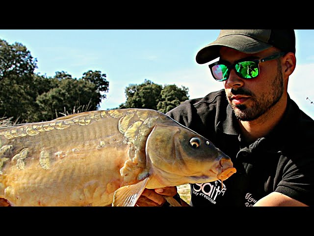 INICIACION AL CARPFISHING - TUTORIAL | HD