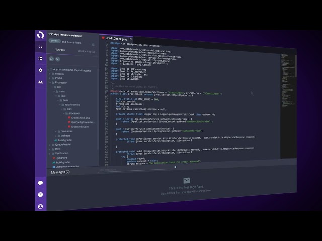 AppDynamics Micro Demo  Deep Code Insights