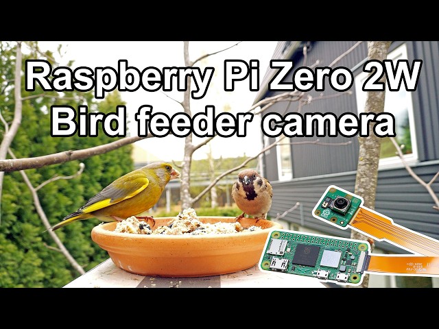 Raspberry Pi Zero 2 W Bird Camera with Solar Power & Live Feed