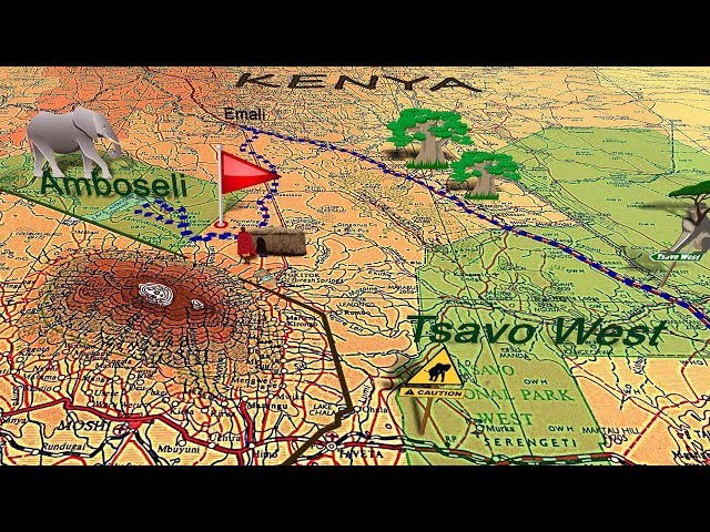 Safari Kenya - Animated road map - Diani Beach, Tsavo East, Amboseli – After Effect