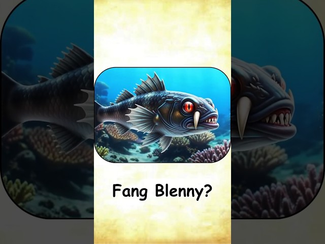 Top Literal vs Real Meaning of English Compound Words