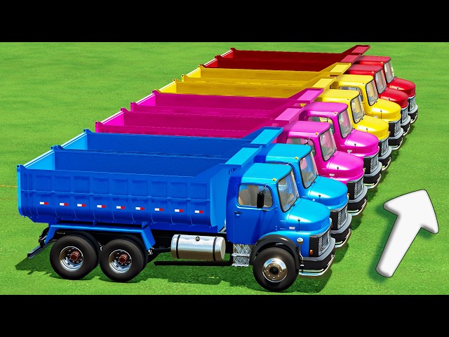 TRANSPORT OF COLORS! HEAVY MercedesTruck +8 TON COLORED Sunflower Delivery – Farming Simulator 22