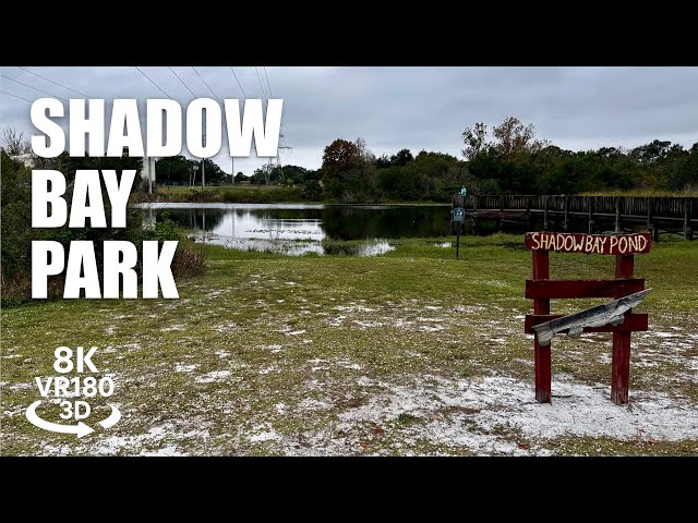 Shadow Bay Park VR180 8K 3D | Orlando Florida | Nature & Fitness Loop Walk | VR视频 8K 3D動画 VR旅行