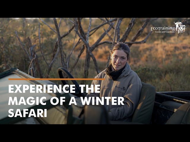 Why Winter is the Best Time for an African Safari | EcoTraining