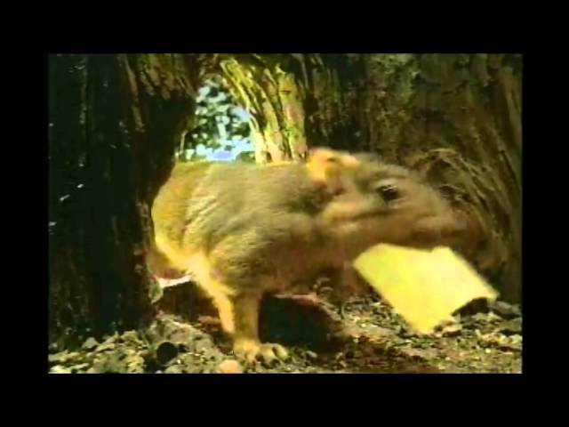 Post It Notes 2011 TV Commercial HD