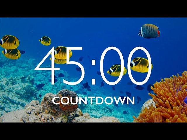 45 Minute Timer with Relaxing Music and Alarm