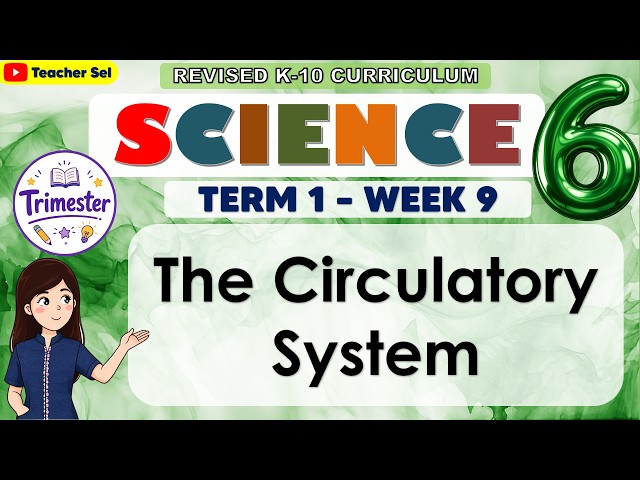 Science 6 Term 1 Week 9 - The Circulatory System