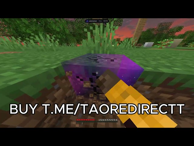 Taonet vs minecraft server (mineguard) | HOW TO CRASH ANY MINECRAFT SERVER