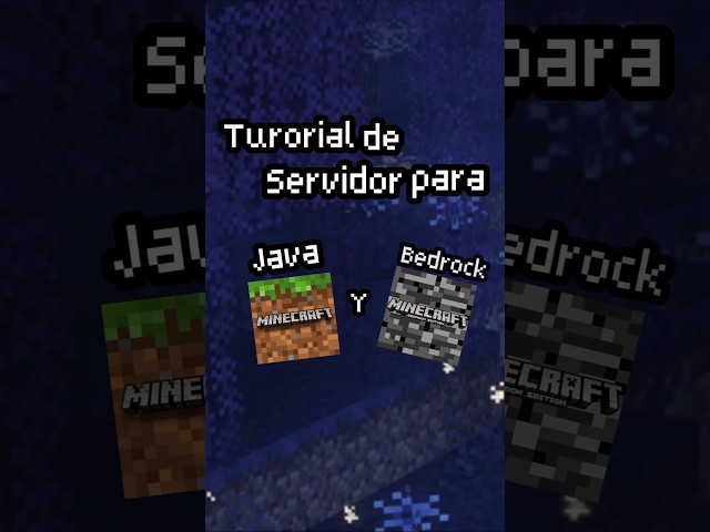 Minecraft server for Java and Bedrock