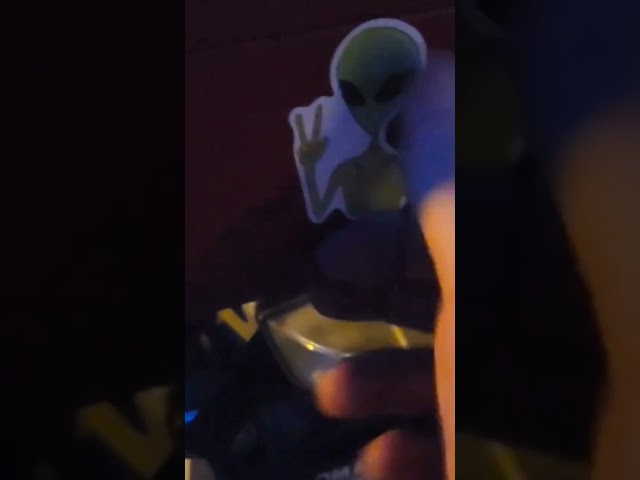 Space Acorn #motorad #motorcycle #ohiopyle #bmw #motocamping #ufo #alien #Bigfoot #chestnutridge