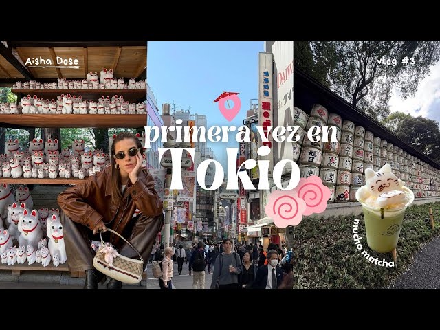 I remembered that I have free will and came to Japan alone⛩🏮pt.1/ shopping, cats, lots of ramen a...