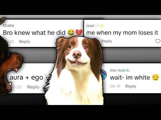 He's Mad, I'm Glad 😎 - Chat Music