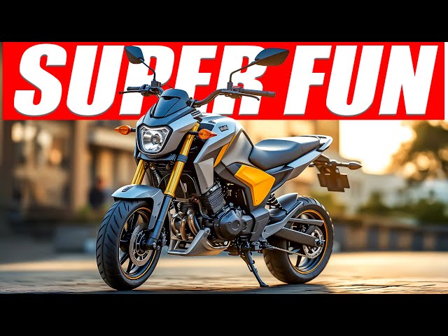 Top 10 MINI MOTOS For 2025 That Are Super Fun To Ride!!!
