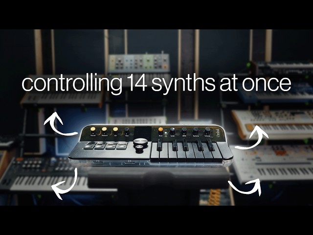We Plugged the Orchid Into EVERY Synth in the Studio
