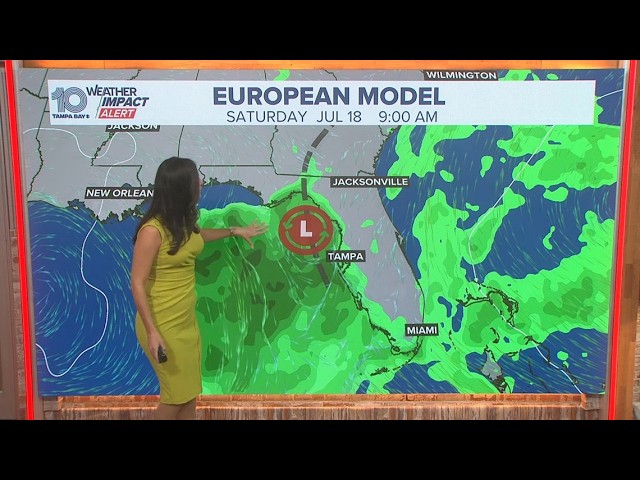 Disturbance off Florida's Gulf coast has small chance of developing this weekend, NHC says