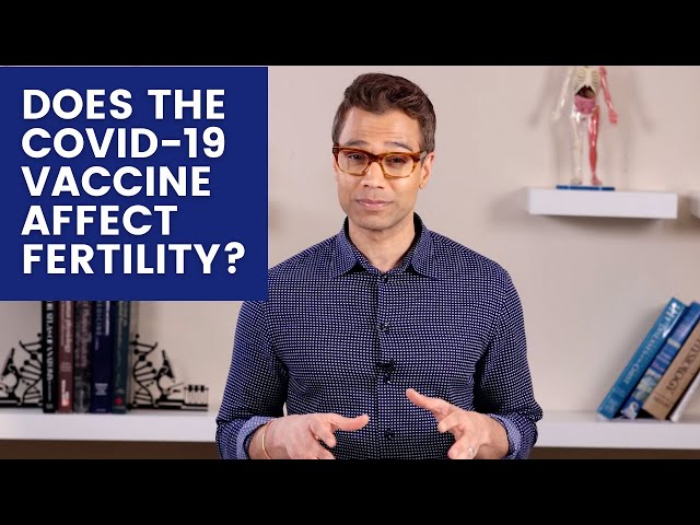 Does the COVID-19 Vaccine Affect Fertility?