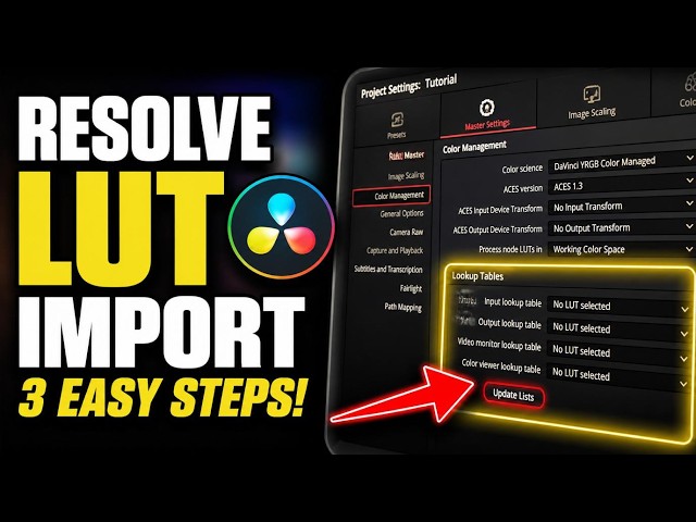 How to enable Resolve LUT import for quick color style updates - Easy Tutorial