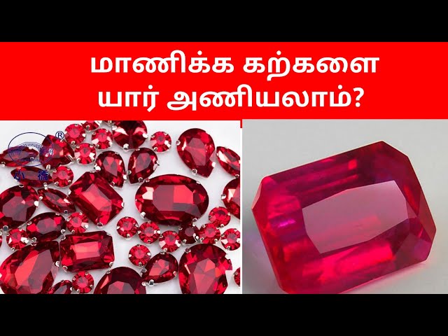 மாணிக்க கல் யார் அணிய வேண்டும் | மாணிக்க மோதிரம் யார் அணிய கூடாது | ரூபி stone