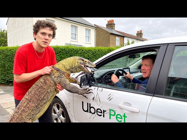 I Tested 'PET FRIENDLY' Ubers With Dangerous Animals