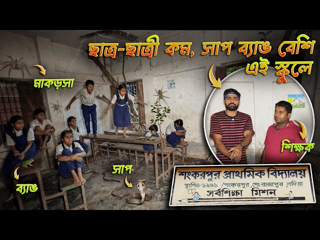 ক্লাসরুমে কিলবিল করছে সাপের বাচ্চা! সাপের ভয়ে কাঁপছে স্কুলের শিক্ষক থেকে পড়ুয়া সবাই! #cobra 