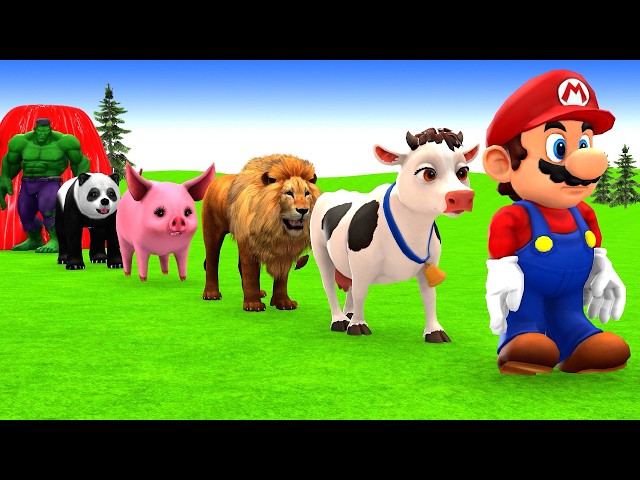 Long Slide Game With Cow Elephant Gorilla Hippopotamus Tiger 3d Animal Game Funny 3d Animals