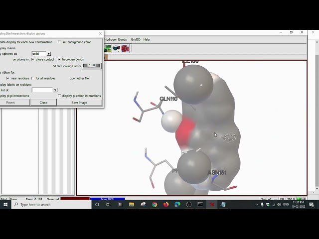 AutoDock Vina Result Analysis using Discovery Studio & AutoDock Tolls GUI