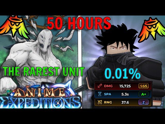 Spending 50+ HOURS For The META 0.01% UNBOUND SECRET MEGUMI In Anime Expeditions Noob To Pro