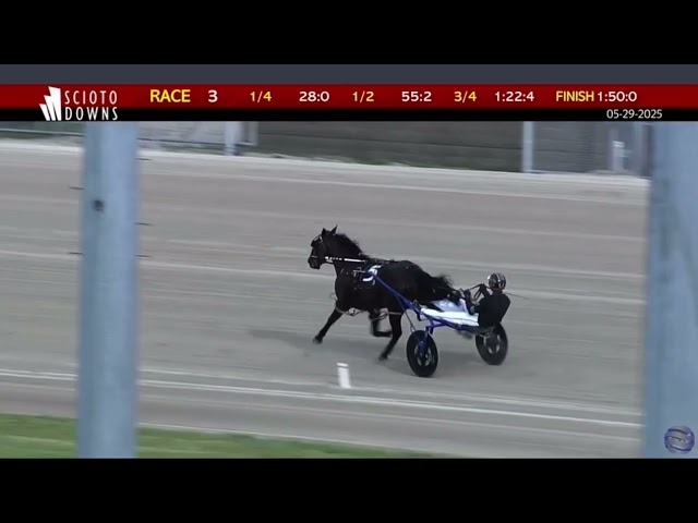 Pants on Fire wins at Scioto Downs in a new lifetime mark of 1:50! | 5/29/25