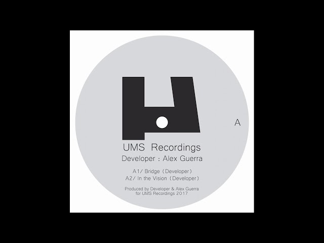 Developer - Bridge [UMS006]