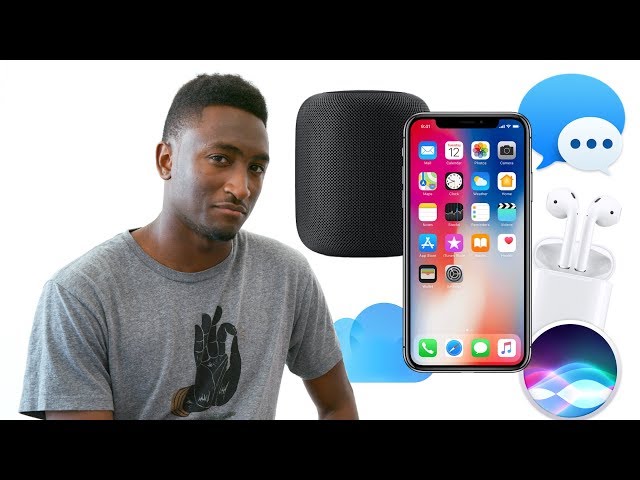 The 🍎 Ecosystem: Explained!