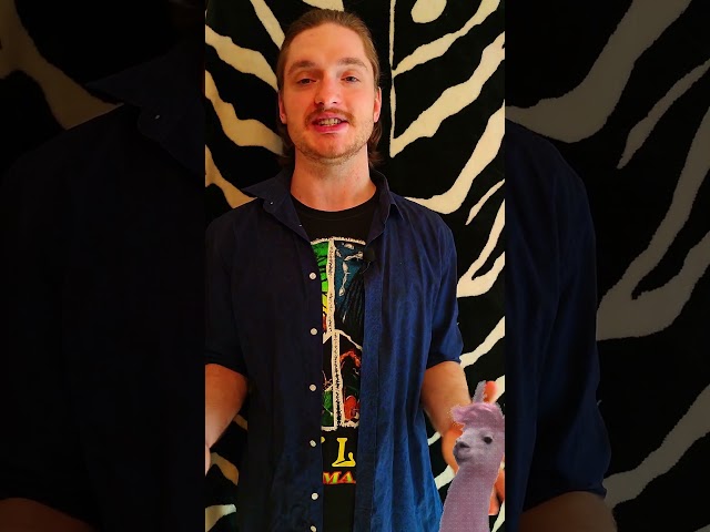 What is a strongly typed programming language and what does java have to do with it #soft