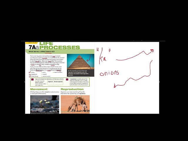 Tutorial Life Processes 1 (Pearson - Biology - Grade 7)