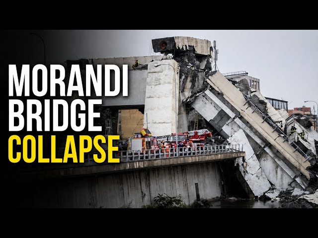 Engineering Failure: The Truth About the Morandi Bridge Collapse