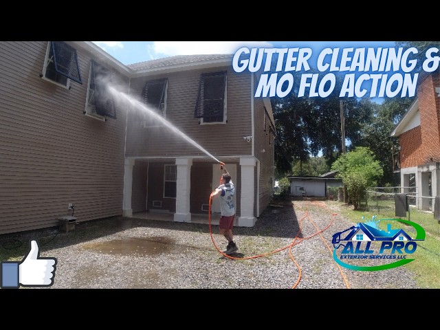 Gutter Cleaning & Mo Flo Action
