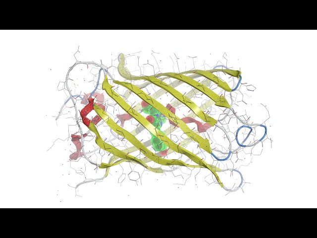 Frédéric Chopin | Nocturne in E minor | Green Fluorescent Protein