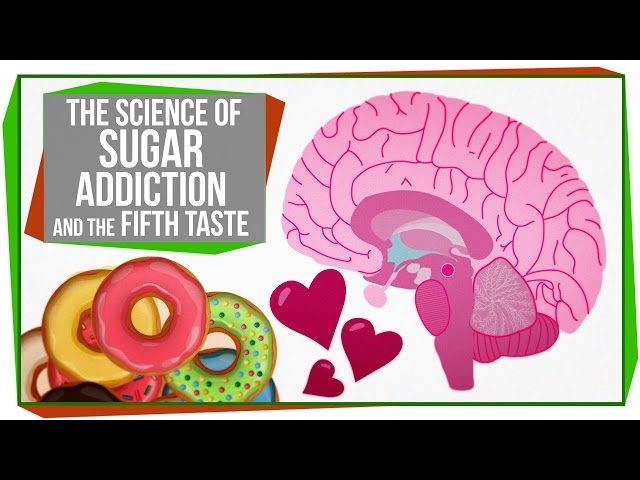 The Science of Sugar Addiction & The Fifth Taste