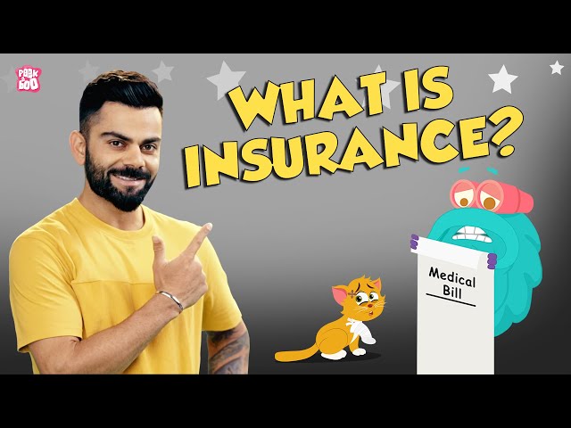 Insurance Simplified | What Is Insurance? | The Dr Binocs Show | Peekaboo Kidz x Digit Insurance