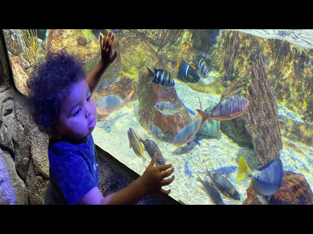 360 Underwater aquarium 2 of 3