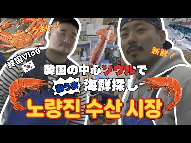 JP/KR【韓国Vlog】ソウルで“うまい海鮮”と噂のノリャンジン水産市場に行ってみたら…想像以上だった！노량진 해산물, 소문만큼 아니 그 이상이었다! #맛집 #韓国vlog #グルメ #방어 