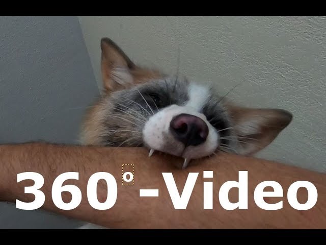 360  - Normal Day Today