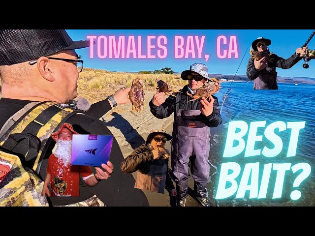 Testing EVERY Popular Crab Snaring Bait, Which Bait Gets More Crabs?🦀
