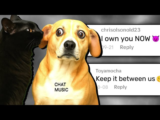 What Did The Cat Tell Him? - Chat Music