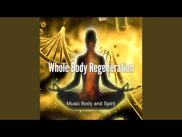 Alpha Waves Healing Meditation