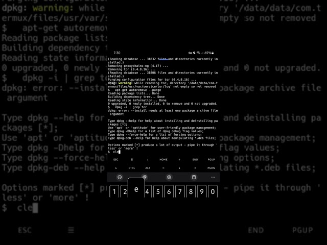 apt purge #DataProtection #CyberAttack #InternetSafety... #Shorts #syying_90