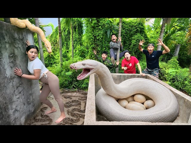 3 Brave Hunters Rescue Girl from Ferocious Giant White Python in Abandoned House