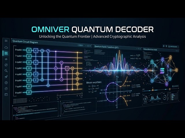 Running the Omniver Quantum Decoder Locally