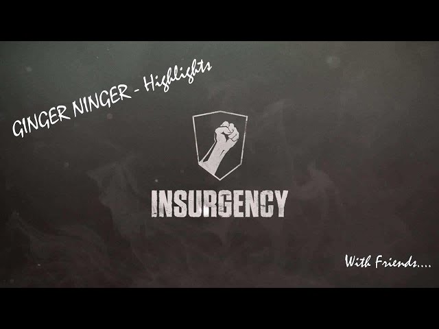 Ginger Ninger plays - Insurgency - highlights