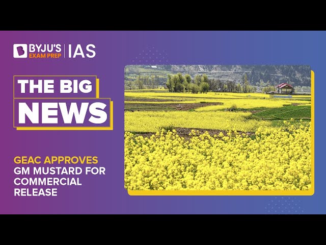 GEAC Approves GM Mustard For Commercial Release | Genetically Modified Mustard | UPSC CSE 2023